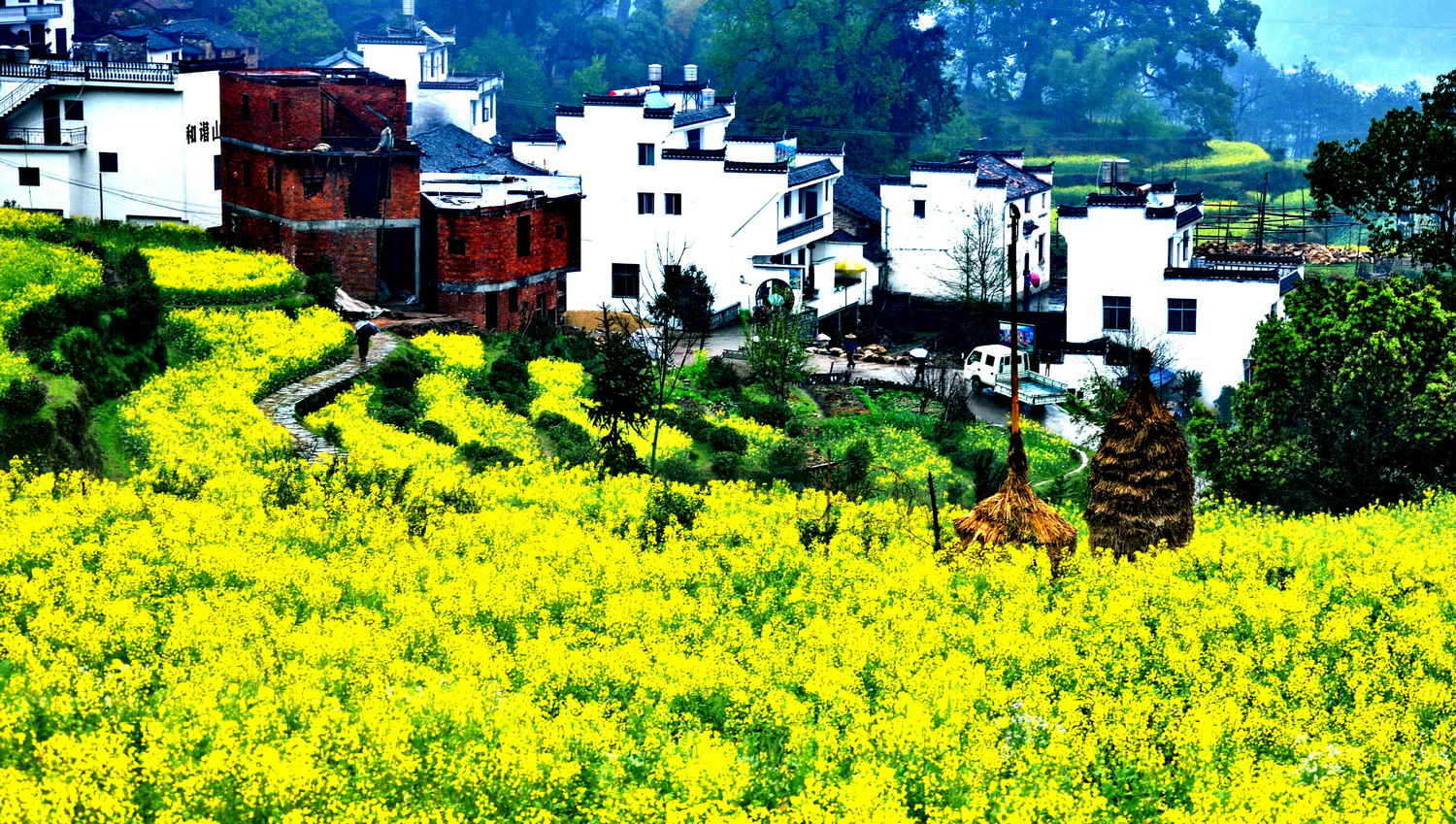 煙花三月去哪玩兒？2017最受歡迎十大古鎮(zhèn)出爐，麗江首脫榜｜美通社頭條