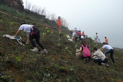 今年逾700人報名參加，為一幅去年被山火燒去大范圍林木的山坡種植約6,000棵樹苗。